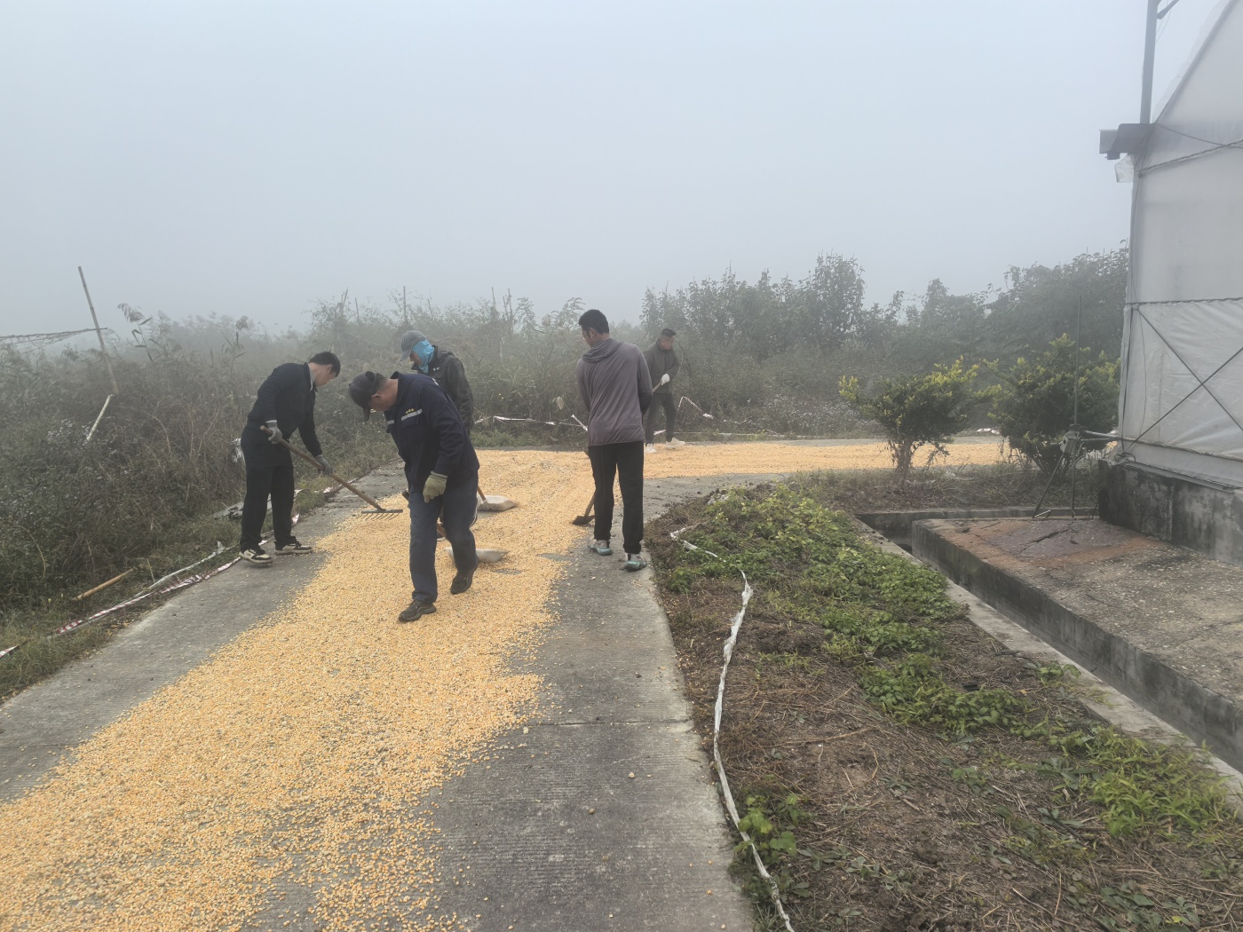 微信圖片_20251103093610_24_242_副本