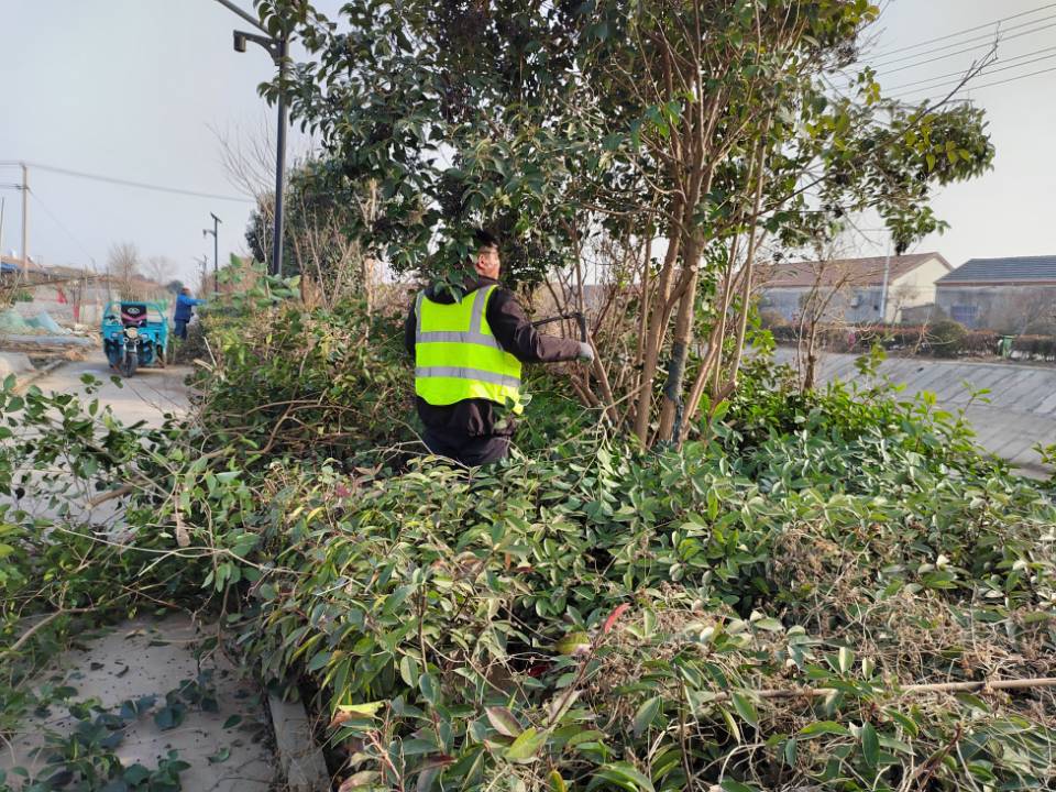 QQ圖片20260116103114